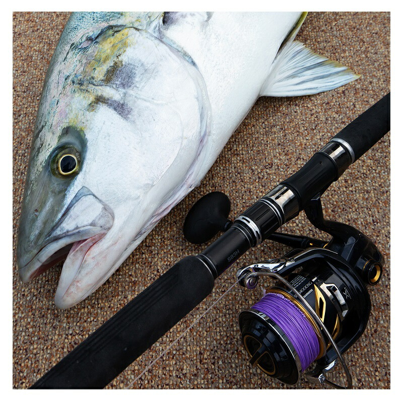 楽天市場】バリバス アバニ キャスティングPE SMP ヒラマサチューン X8