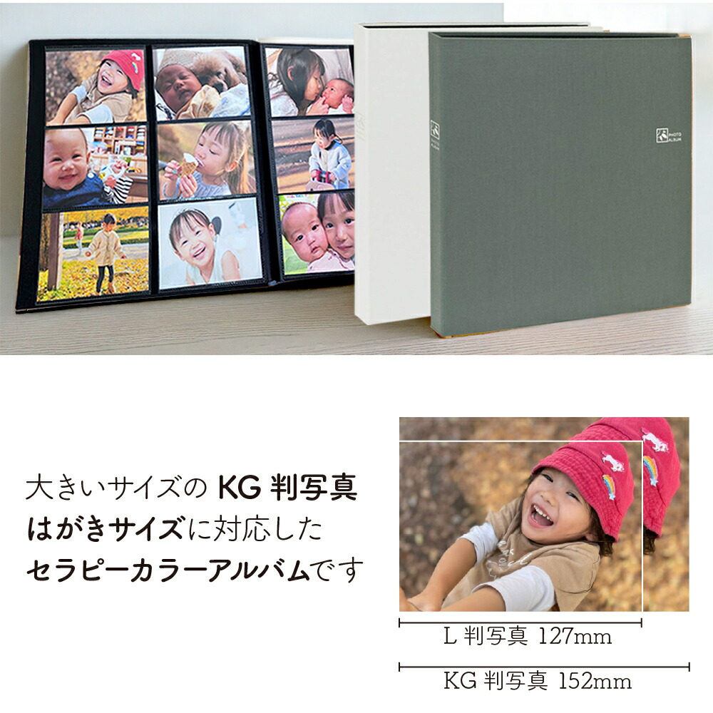 楽天市場】【WEB限定】【KG判240枚収納】 アルバム 6面ポケット