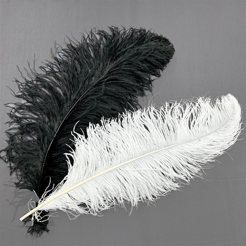 楽天市場】オーストリッチ60cm羽根(全2色)≪1本単位販売≫ : 日暮里の