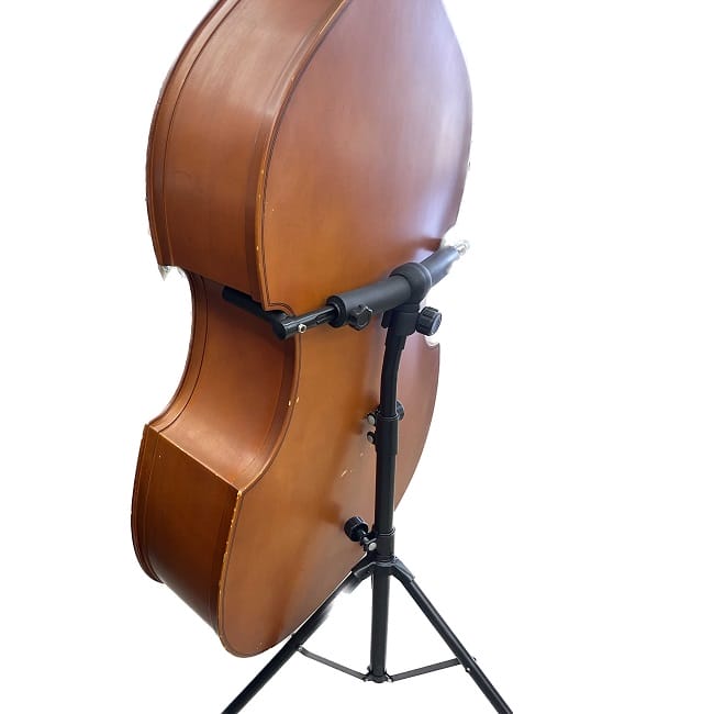 楽天市場】【関東配送限定】Hallstatt コントラバス ウッドベース 送料