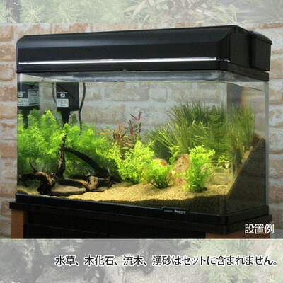 楽天市場】【水槽set】スーパーSET 13点 60cm 水槽セット 初心者の