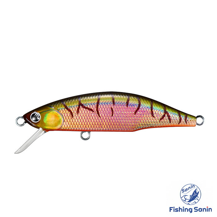 楽天市場】【2025年限定色追加】ジャクソン(Jackson) メテオーラ52