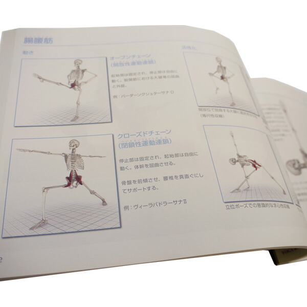 楽天市場】「図解YOGAアナトミー 筋骨格編 」 [UTL アンダーザライト