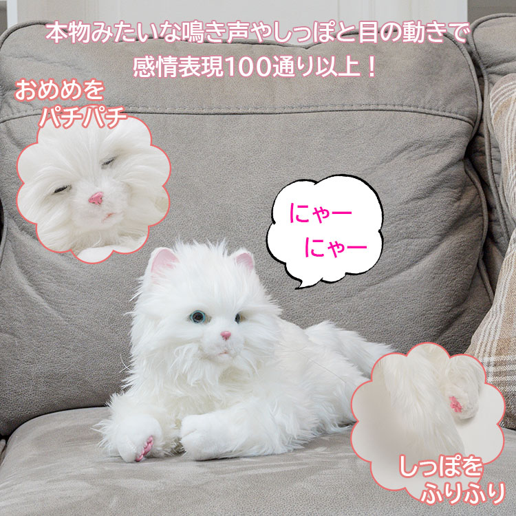 楽天市場】【電池おまけ付】しっぽふりふり あまえんぼう子ねこちゃん
