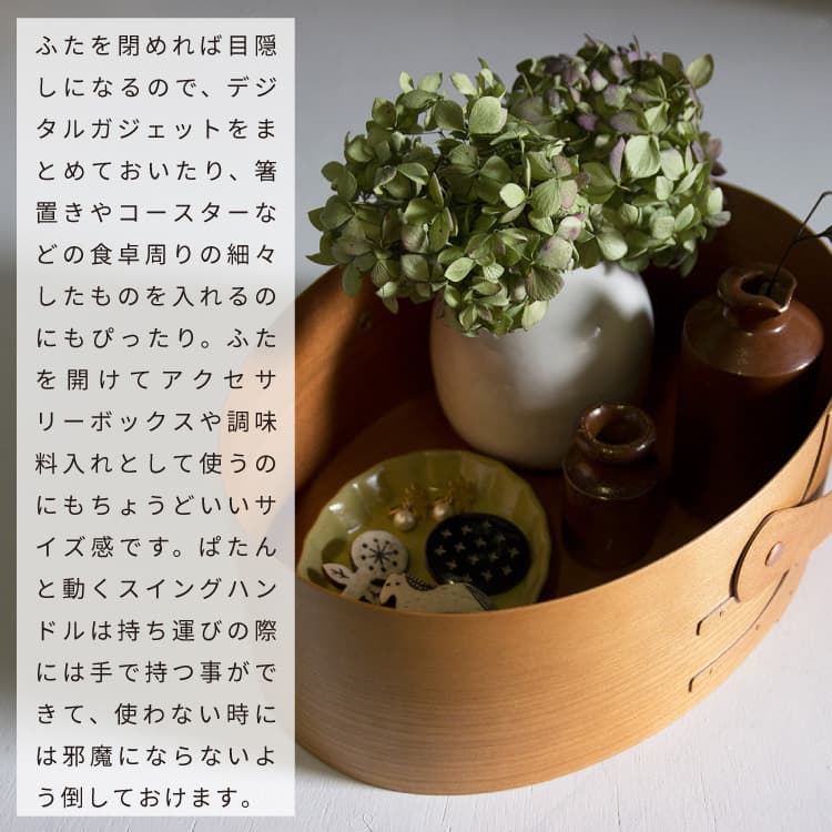 楽天市場】シェーカースイングハンドルボックス HS2847 アクシス