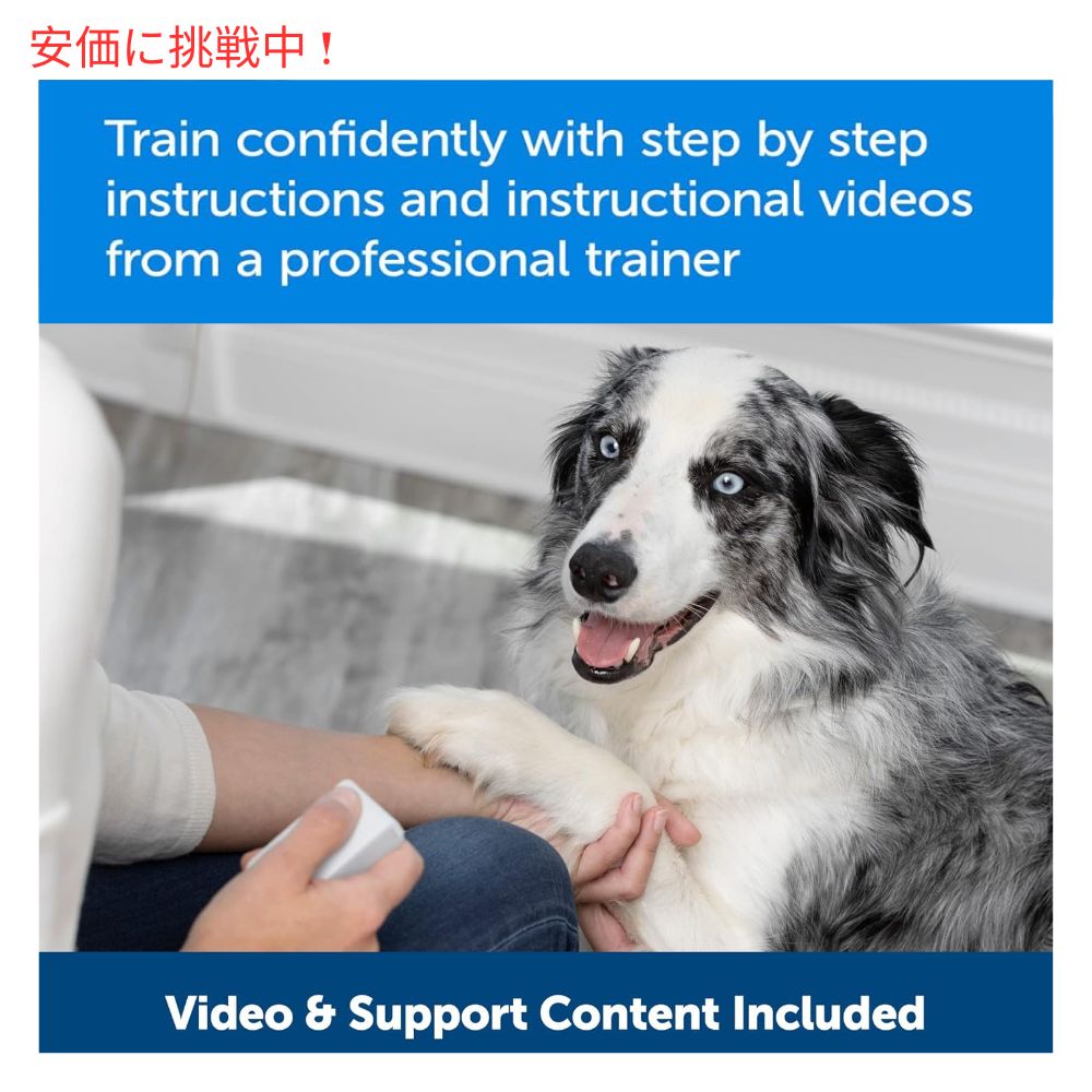 楽天市場】PetSafe ペットセーフ ティーチ＆トリート 遠隔 ご褒美