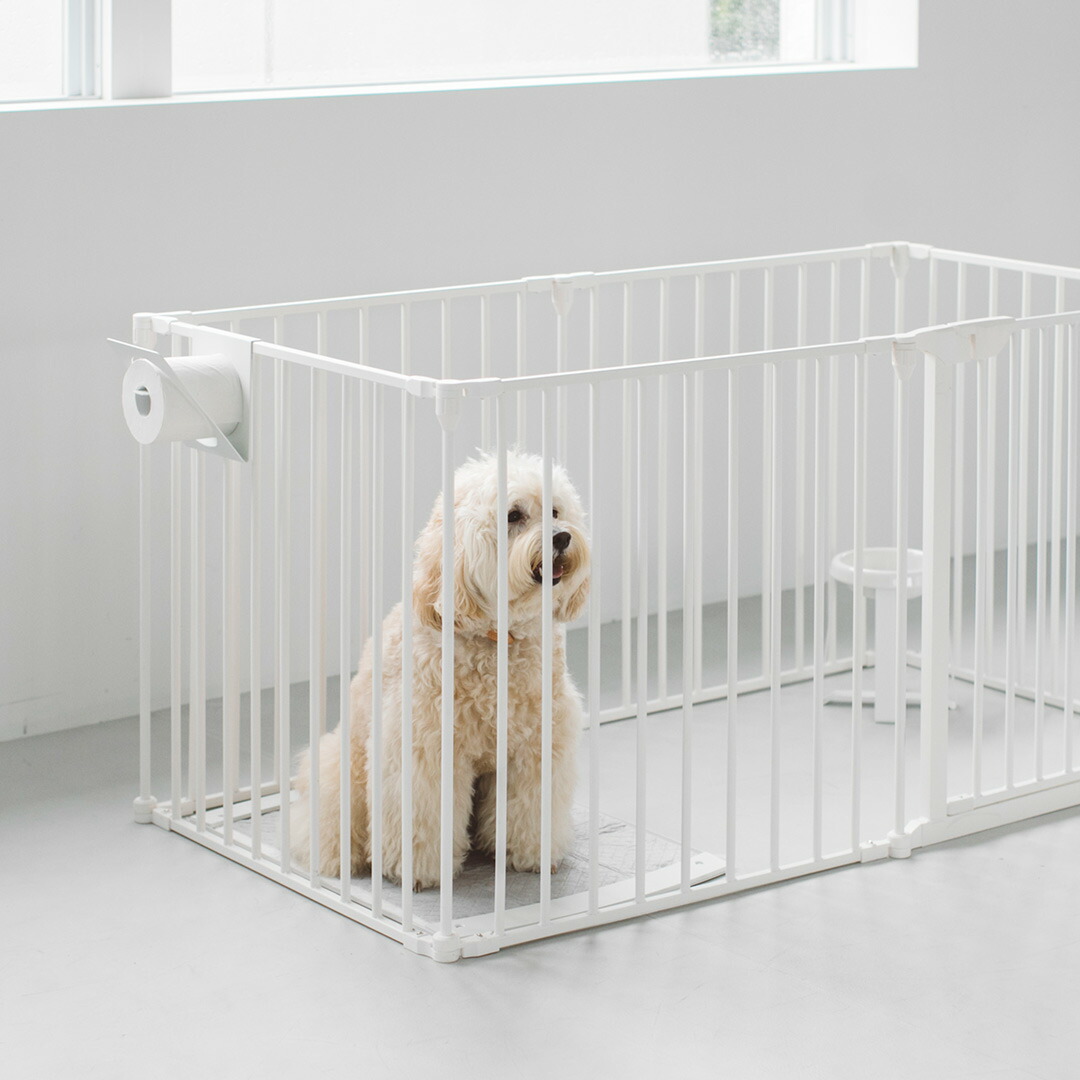 楽天市場】犬 トイレトレイ ワイド pecolo Toilet Tray M Wide