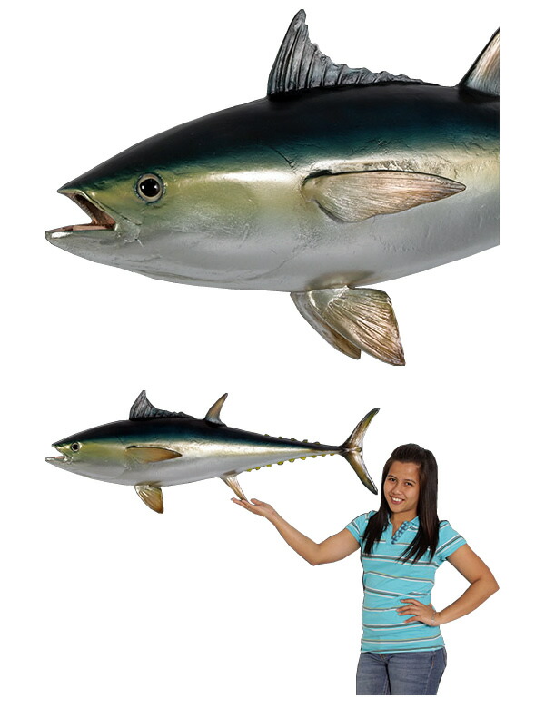 楽天市場】FRPアニマルオブジェ マグロ【即納可】置物 動物 魚 鮪