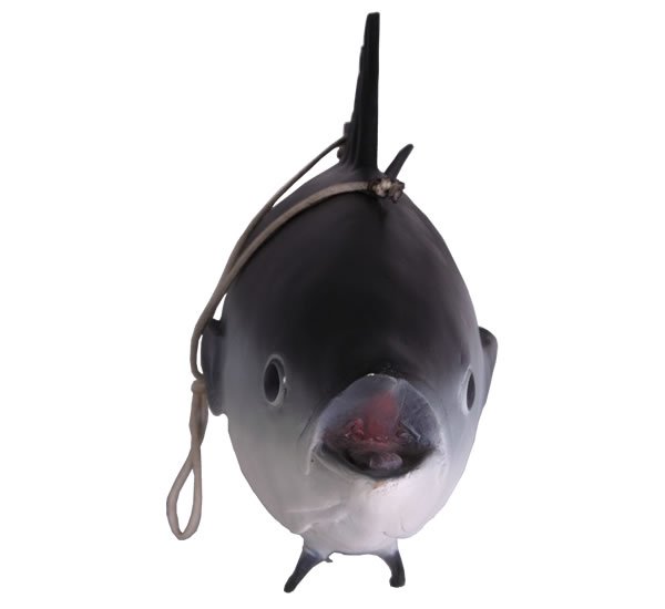 楽天市場】FRPアニマルオブジェ 本マグロ【即納可】置物 動物 魚 鮪