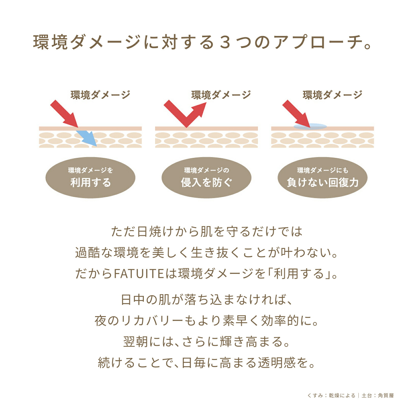 楽天市場】FATUITE公式 ブライテストラインフルセット ファースト