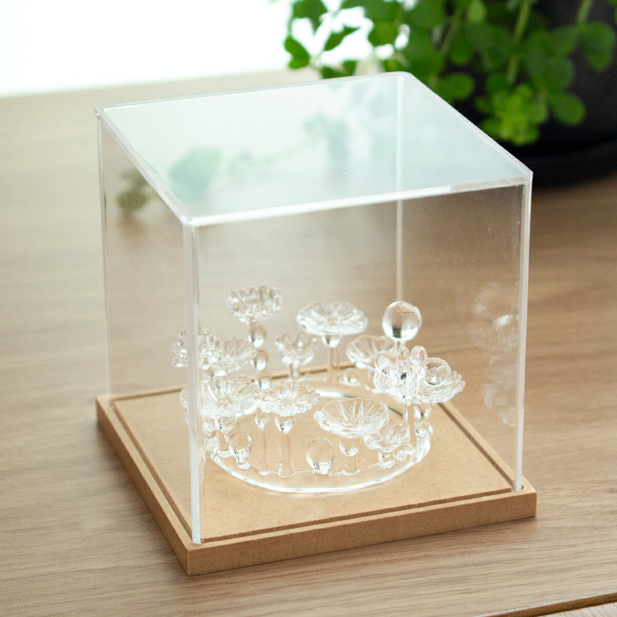 楽天市場】アクリルケース W70×D70×H70mm 木製 アクリルディスプレイ