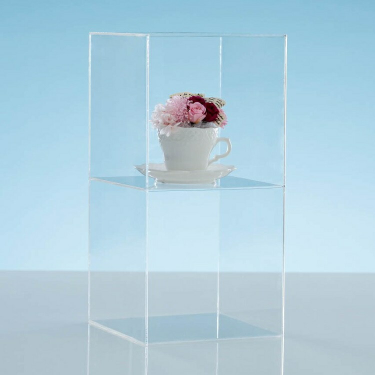 楽天市場】アクリルケース 二段 2段 本棚 収納ケース コレクション