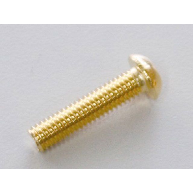 楽天市場】24金メッキ ボルトの通販