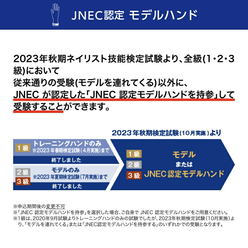 楽天市場】◇JNEC認定 STモデルハンド 右手 チップ差込式(ネイルチップ
