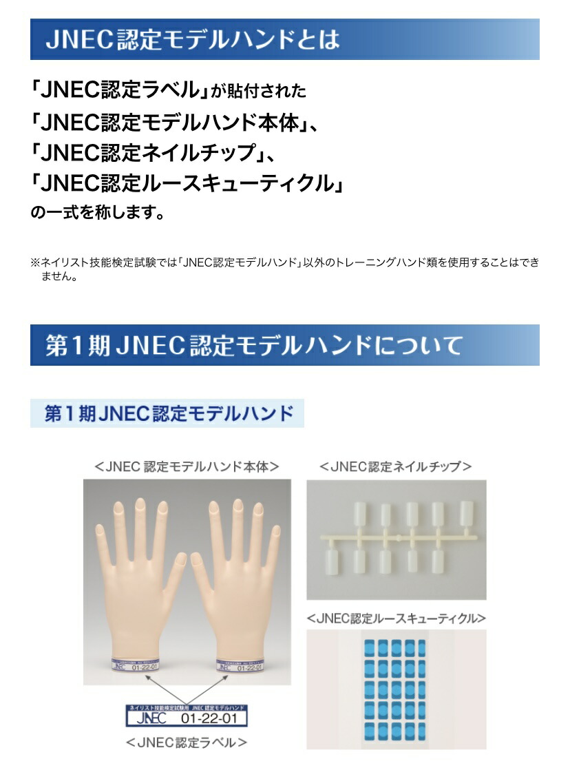 楽天市場】JNEC認定 STモデルハンド ネイルチップ 練習用/トレーニング