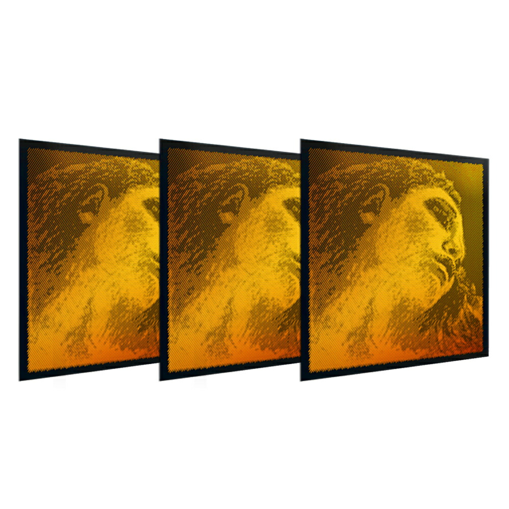 楽天市場】PIRASTRO エヴァピラッツィゴールド バイオリン弦 A(4152) D