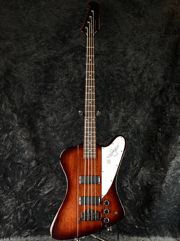 楽天市場】Epiphone Thunderbird IV 新品 ヴィンテージサンバースト