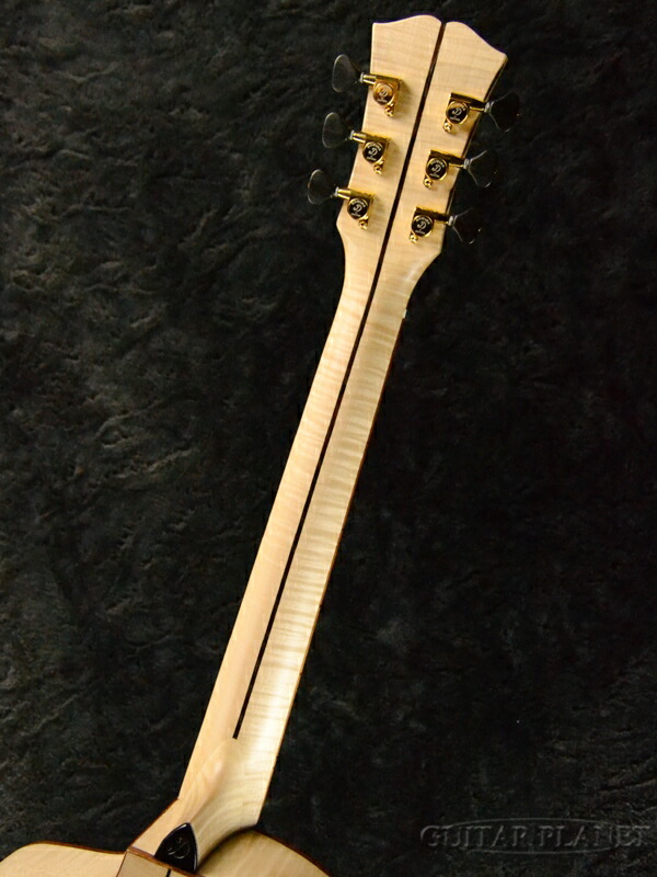 楽天市場】Dowina ACERO-GAC-DS 新品[ドウィナ][スロバキア製