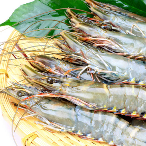 楽天市場】ブラックタイガーエビ有頭（特大サイズ）15尾 冷凍便