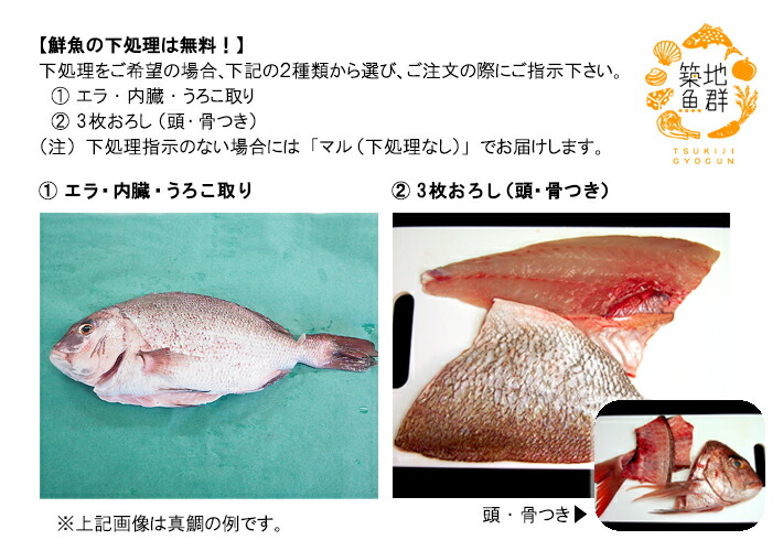 楽天市場】太刀魚（たちうお）1尾（1-1.5kg） 冷蔵便 [タチウオ