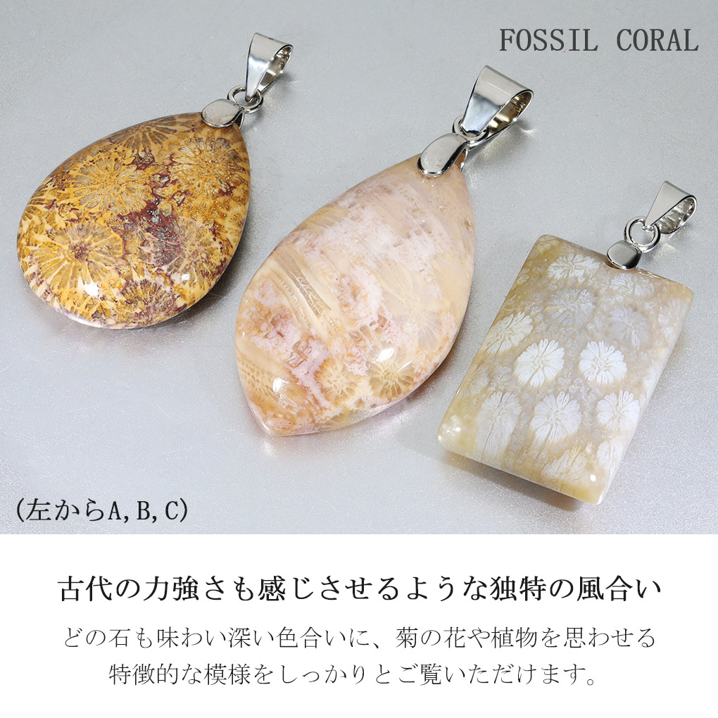 楽天市場】フォシルコーラル シルバー ペンダントトップ 数量限定
