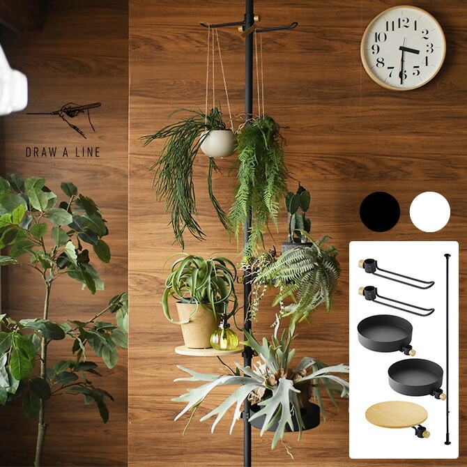 楽天市場】DRAW A LINE ドローアライン グリーンディスプレイセット