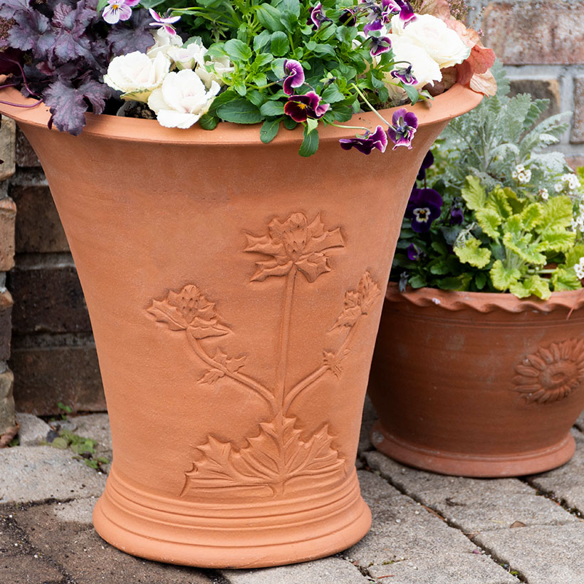 楽天市場】Whichford ウィッチフォード 植木鉢 大型 Sea Holly Urn