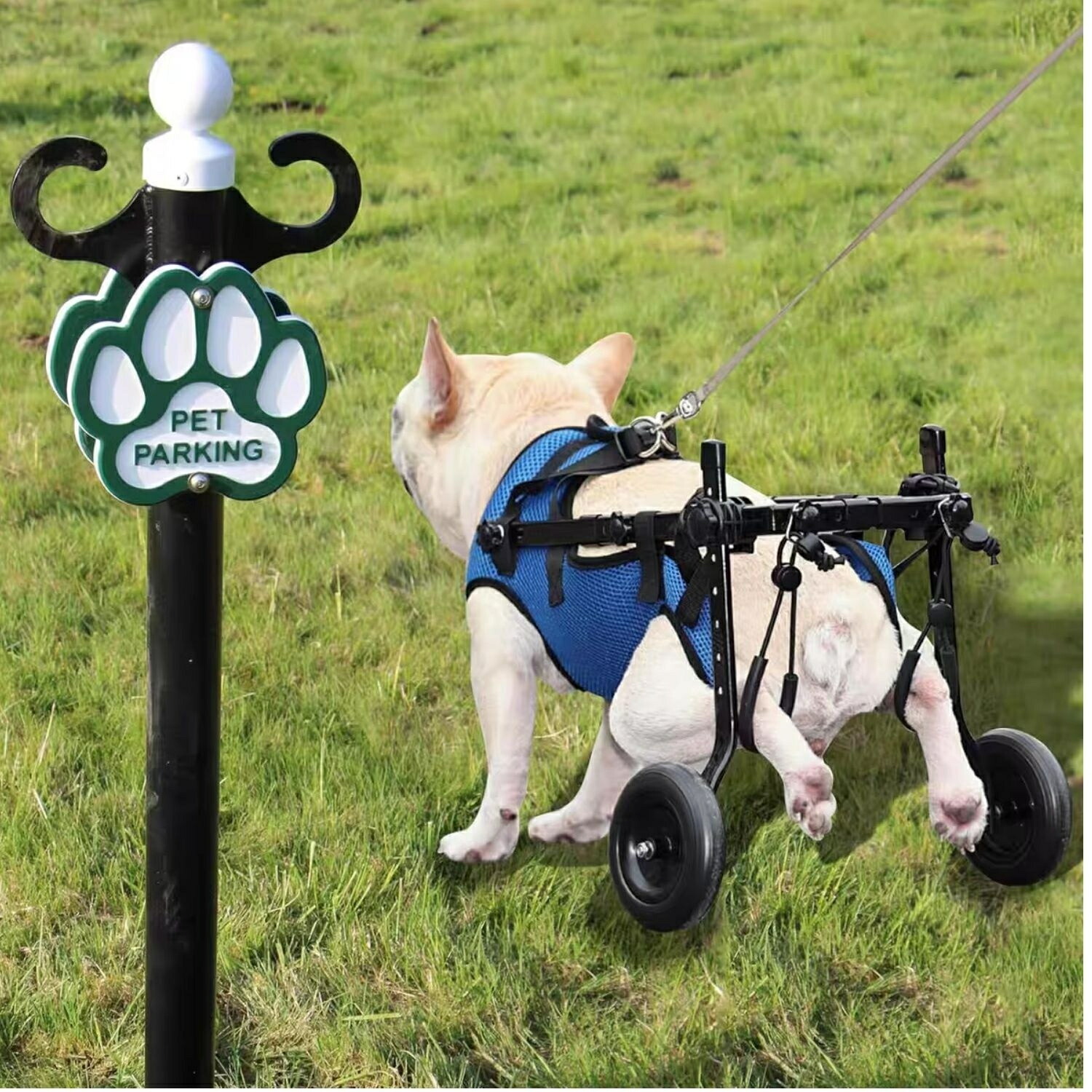 楽天市場】犬用車椅子 犬用歩行器 ペット車椅子 歩行補助 2輪 車椅子