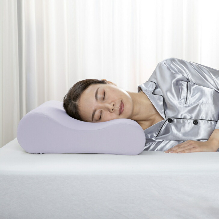 楽天市場】フランスベッド 快眠枕 ズカンピロー ZUKAN PILLOW 枕