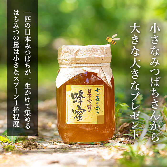 楽天市場】【ふるさと納税】七ツ森の恵 日本ミツバチのはちみつ 300g