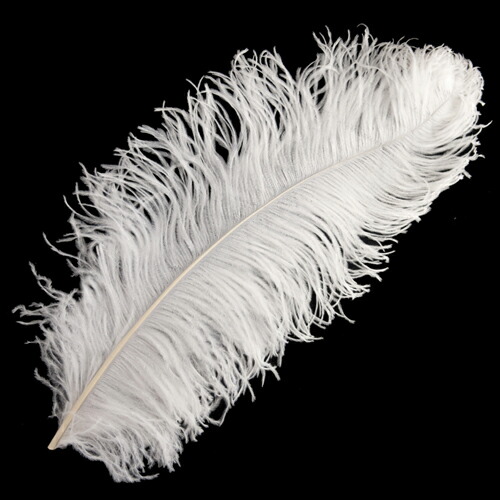 楽天市場】オーストリッチ45～55cm 羽根 （白） 【羽_インテリア_手芸_