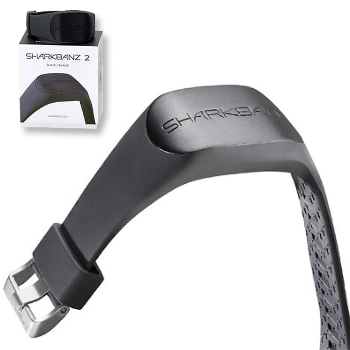 楽天市場】＼3/1はお得なワンダフルDAY ポイント3+2倍／ シャーク