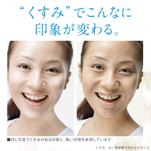 楽天市場】【組合せでお得なセット】北の快適工房 『ハックティック