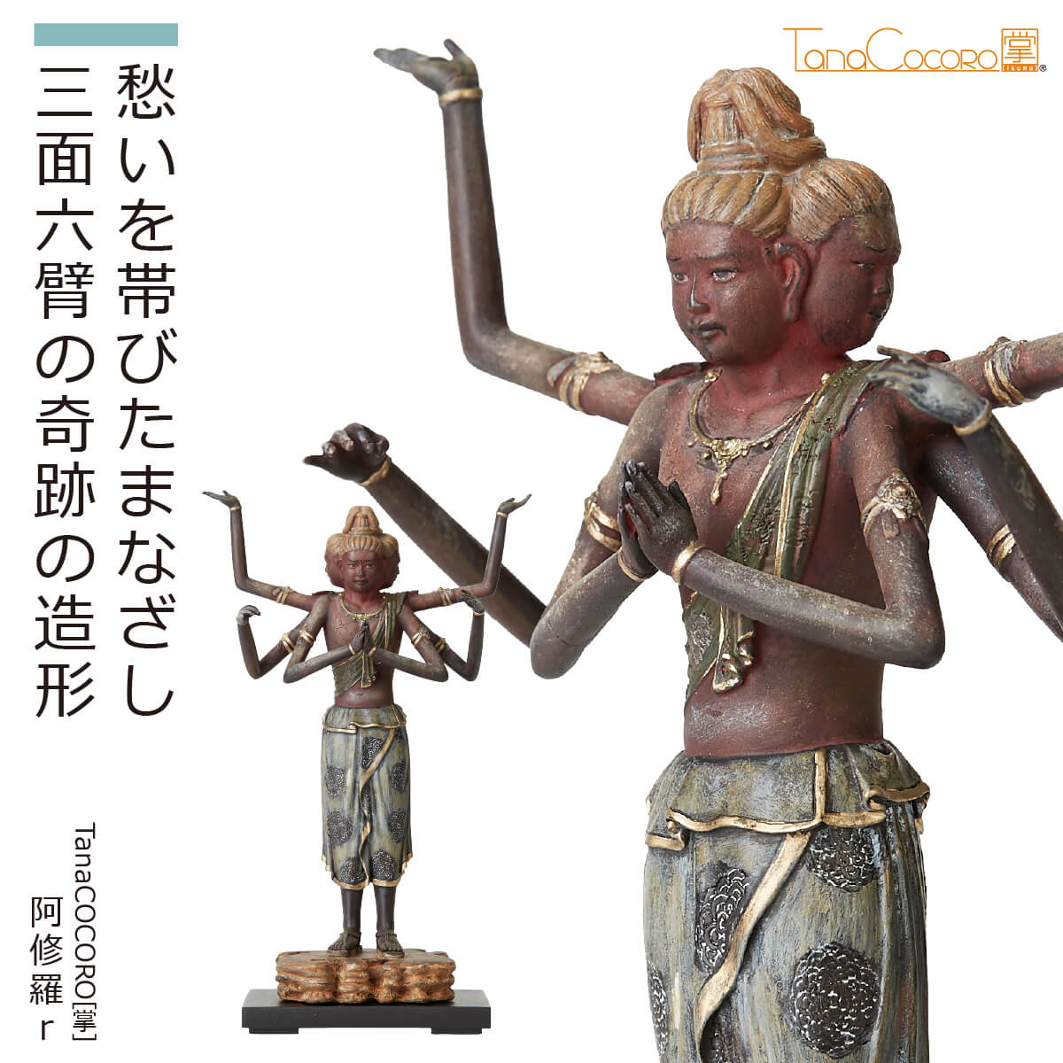 楽天市場】【即納！安心のメーカー直営、直送】 TanaCOCORO[掌