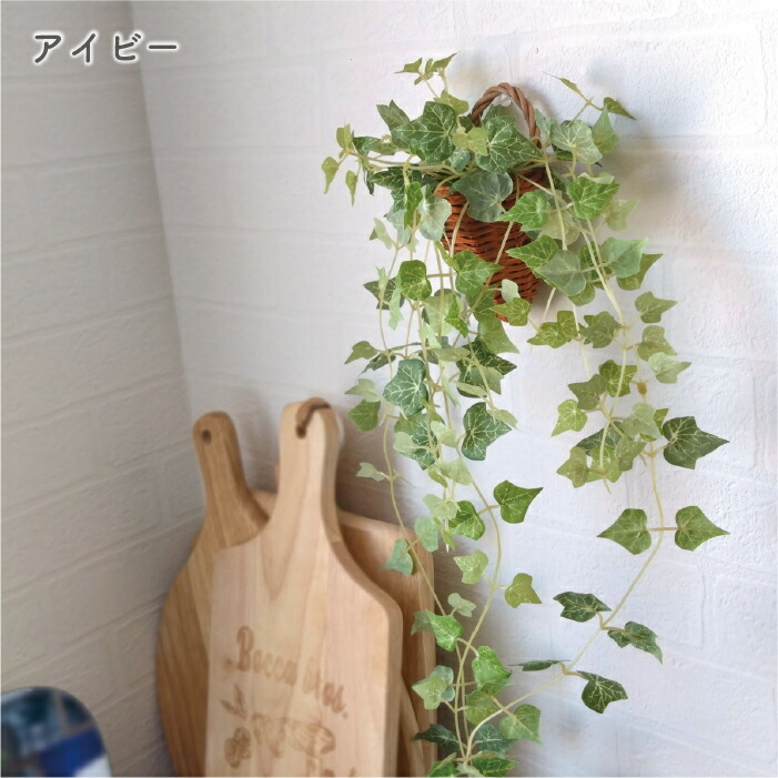 楽天市場】【2点セット】抗菌 消臭 壁掛け 吊り下げ インテリア