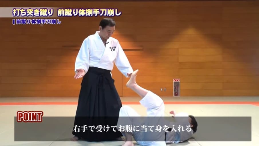 楽天市場】大東流合気柔術の極意 ～一瞬で相手を無力化する合気の