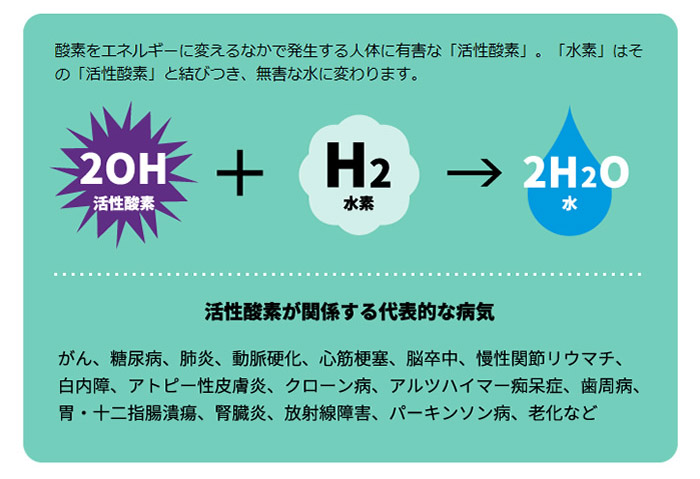 楽天市場】【送料無料】水素風呂リタライフホワイトVer2 Lita Life