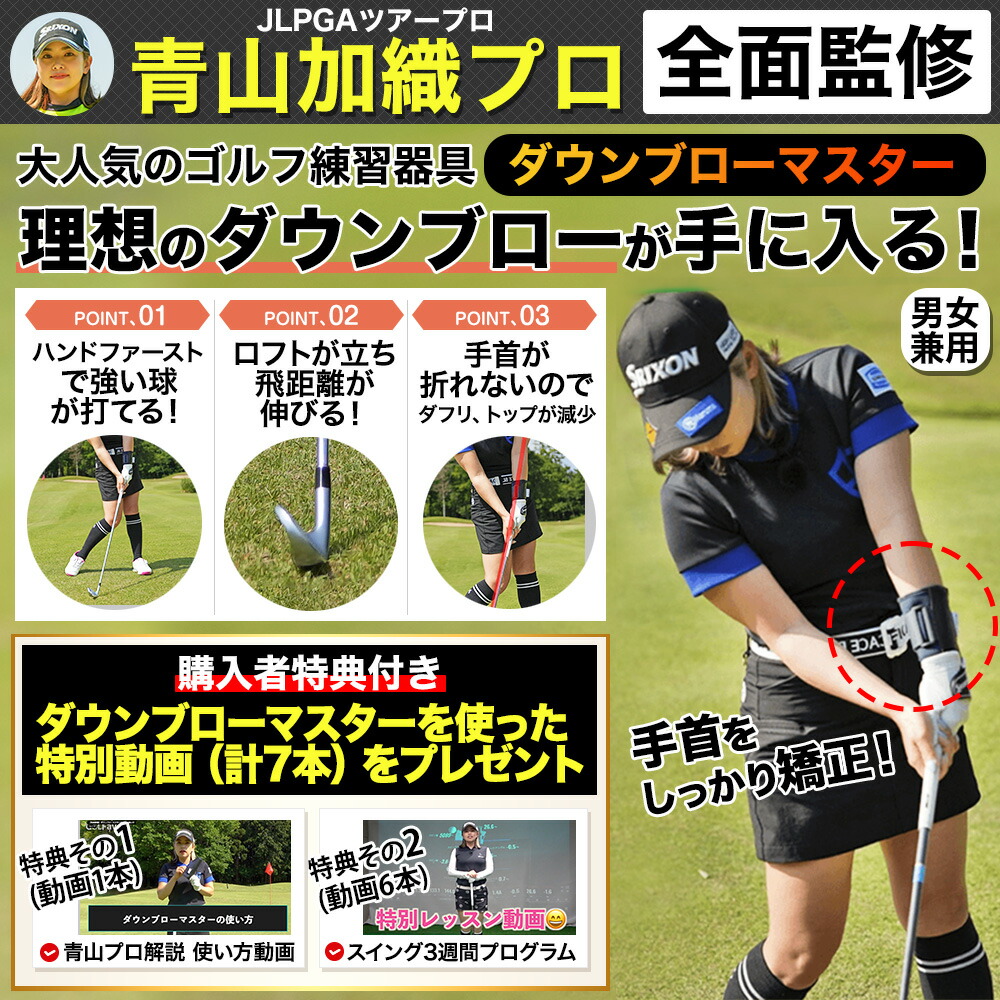 楽天市場】【公式】Down blow Master 青山加織プロ監修 ダウンブロー