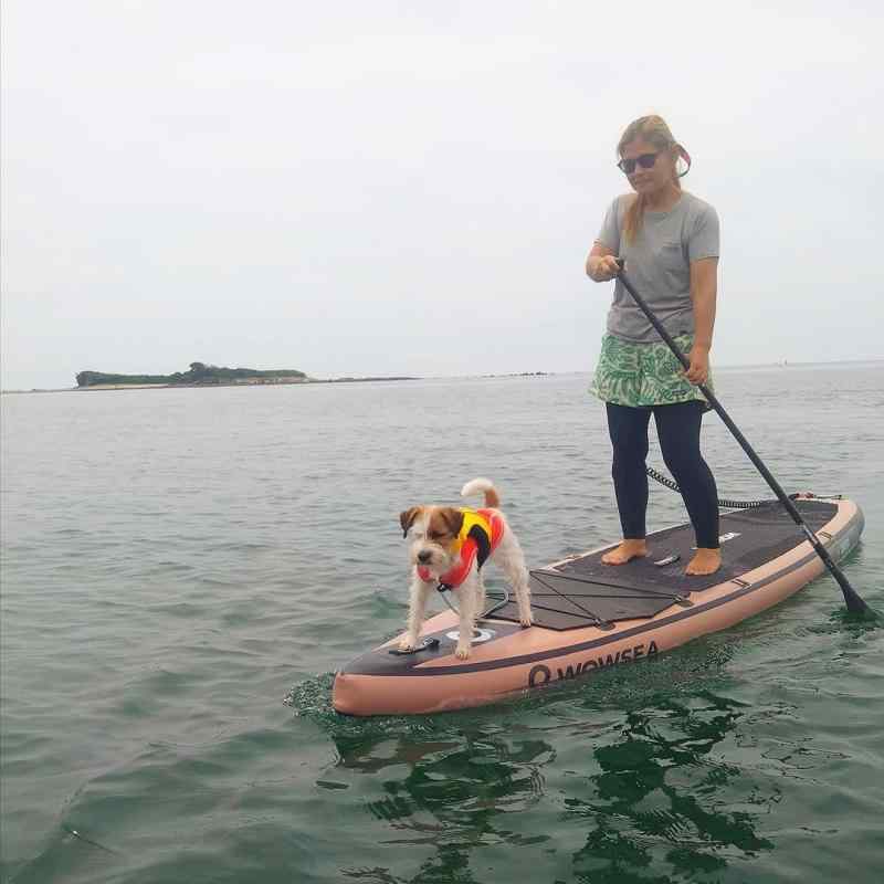 楽天市場】WOWSEAインフレータブルスタンドアップパドルボード，耐久性
