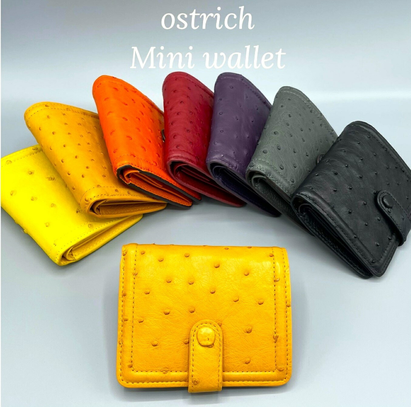 楽天市場】【オーストリッチ財布】【SALE】 オーストリッチ 二つ折り