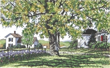 楽天市場】キャロル・コレット 「June III」Collette 手彩色銅版画