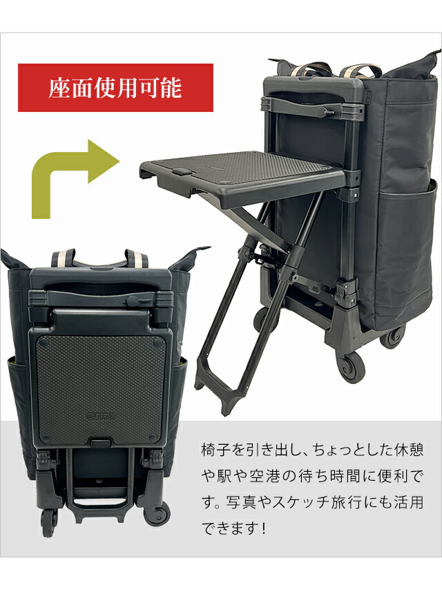 楽天市場】スワニー SWANY 座れる ショッピングカート キャリーカート