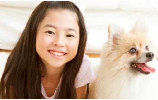 楽天市場】【ご愛顧感謝セール特別価格】日本遠赤外線株式会社