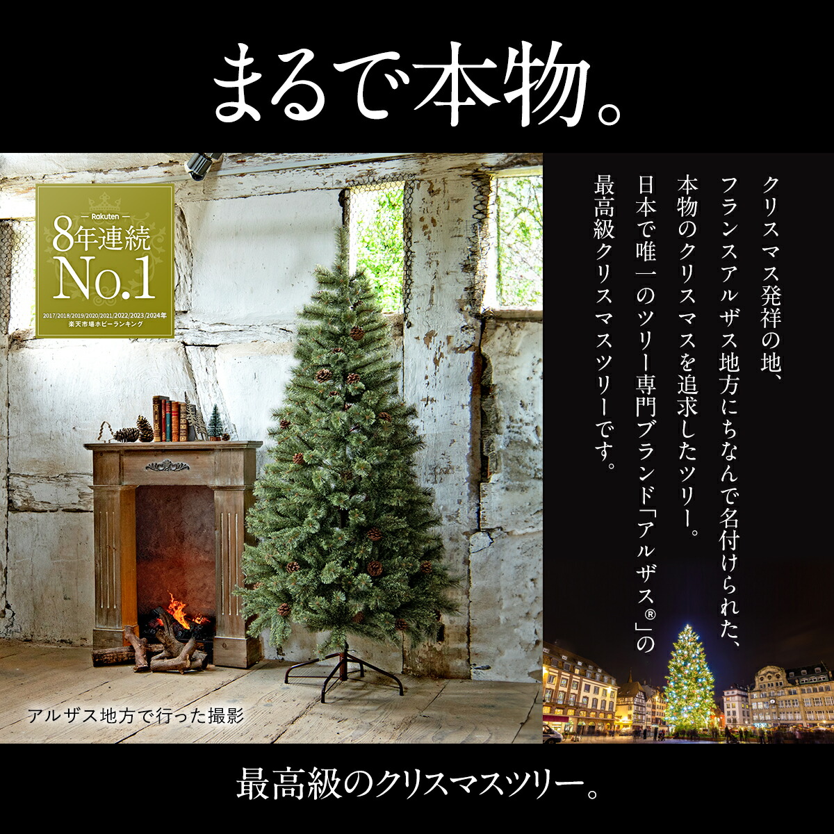 Alsace 180 クリスマスツリー 2024年 Alsace 180 クリスマスツリー