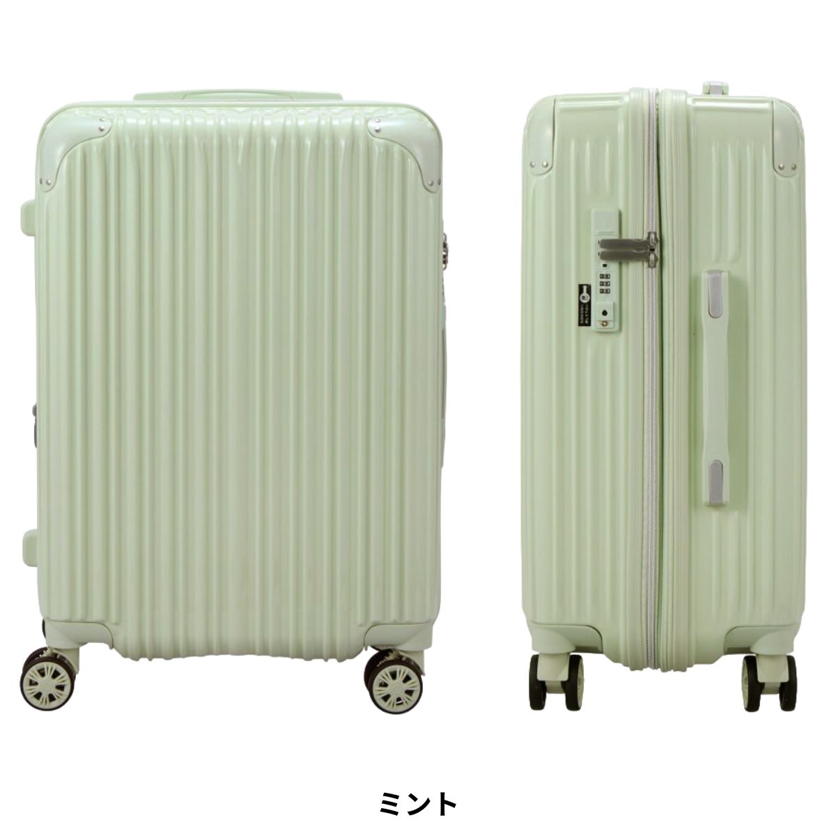 trident スーツケース」の人気商品一覧 | 安い商品を通販サイトから