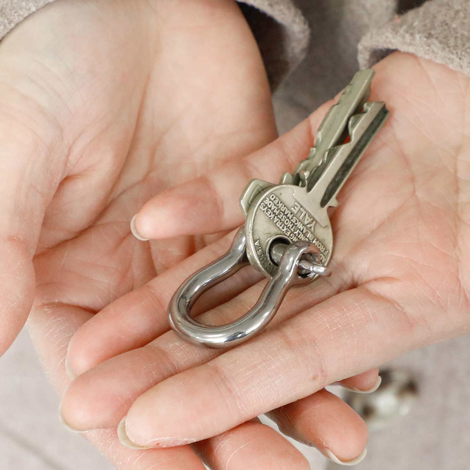 楽天市場】Wichard ウィチャード バウ シャックル （L） Wichard社