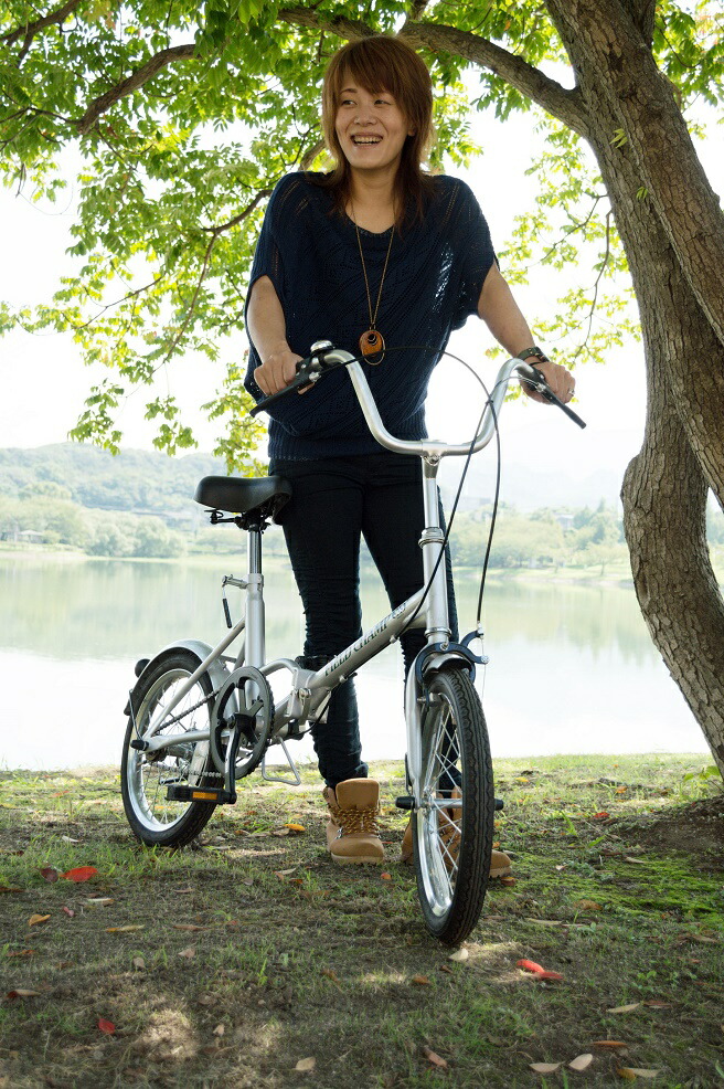 楽天市場】16インチ折り畳み自転車 フィールドチャンプ FDB16 【FIELD