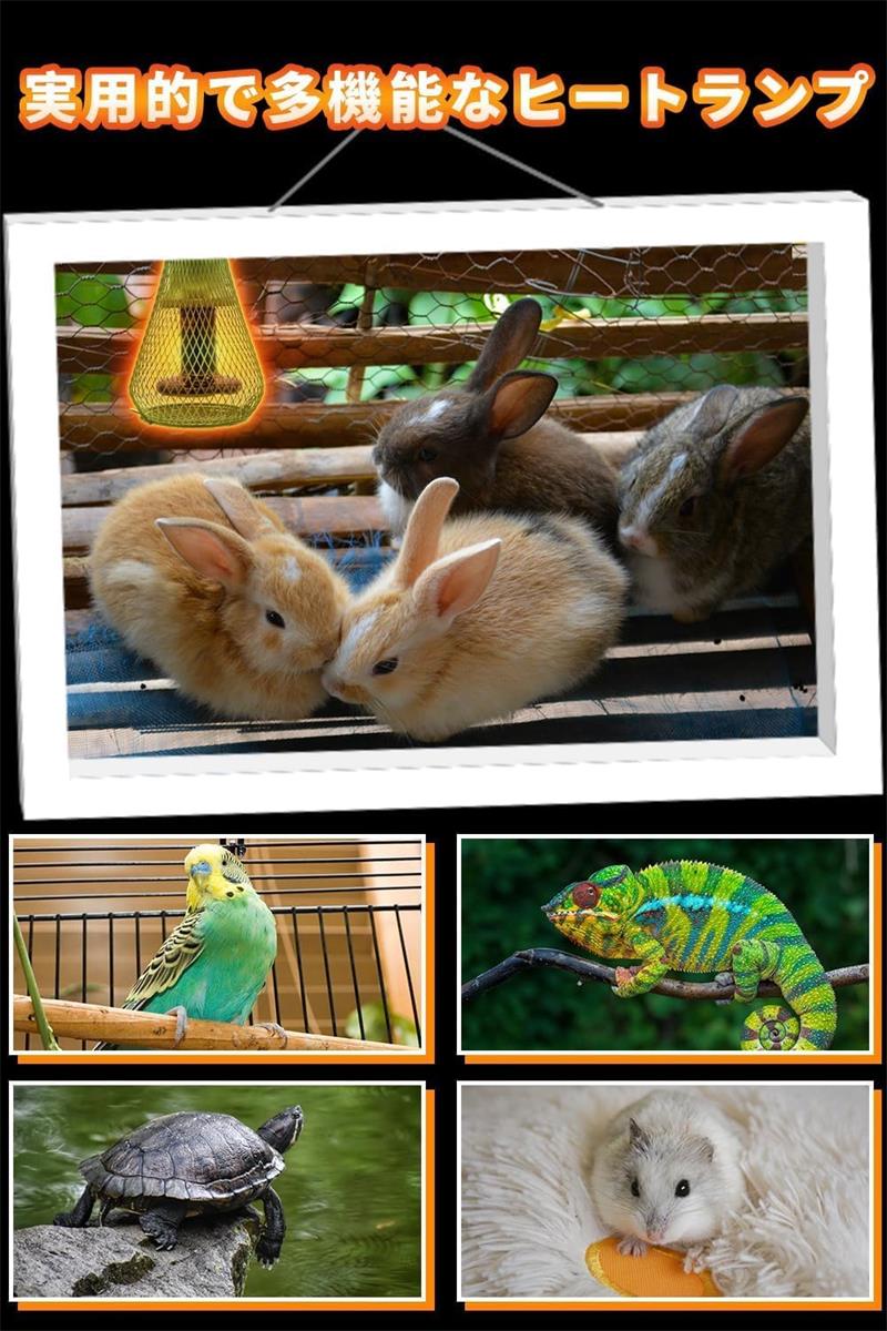 楽天市場】保温電球カバー付 100W 鳥 ヒーター インコ とり暖寄りそい