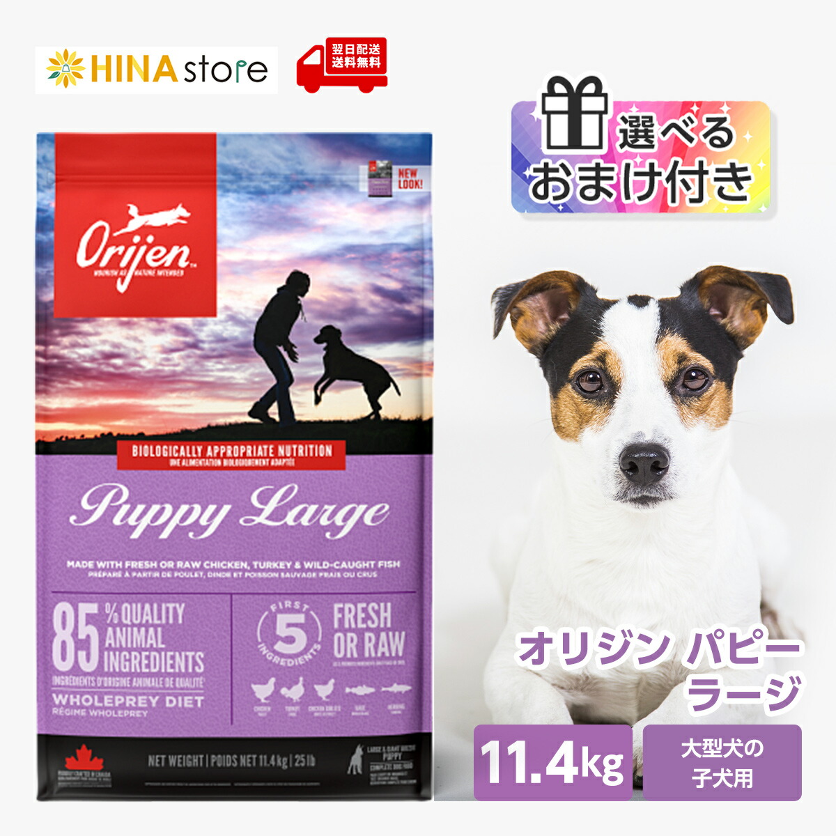 楽天市場】【選べるおまけ付き】 カナダ産 orijen オリジン パピー