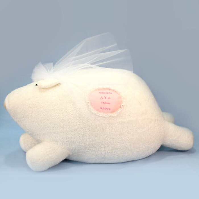 ナイキ エアジョーダン Air Jordan ミッド キッズ ベビー マタニティ